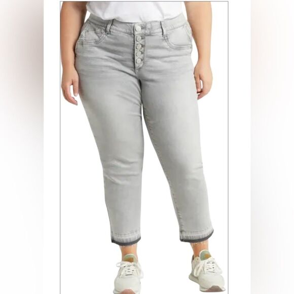 Democracy 'Ab'Solution Women’s Button Fly, High Waist Jeans. Ankle Gray Size 24W - Picture 1 of 8